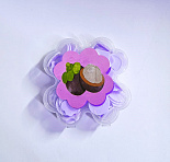 Мыло листовое твердое детское в футляре CRAFT CUTOUT личи,  MIYA-001