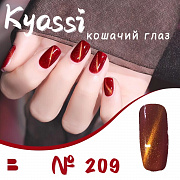 Kyassi  кошачий глаз "Красная серия"  #№209 12 мл#